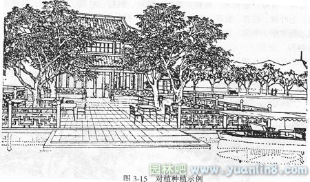 园林植物种植的对植(附图)