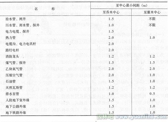 植物与地下管线管道线及地下构筑物的距离