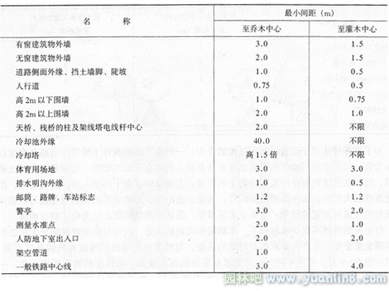 植物与地下管道线及地下构筑物的距离