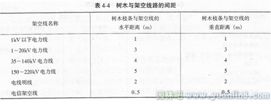 树木与建筑、构筑物水平间距