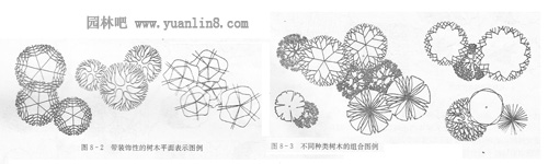 园林构景要素植物中树木的平面表现(附图解)