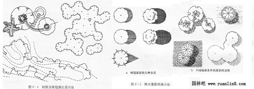园林构景要素植物中树木的平面表现(附图解)