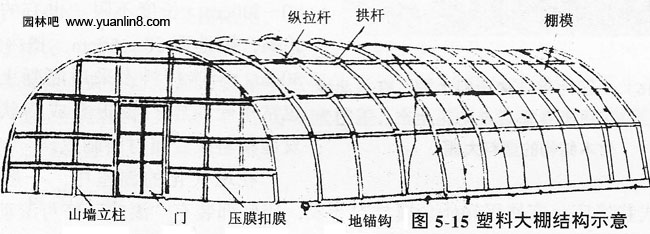 塑料大棚结构示意图