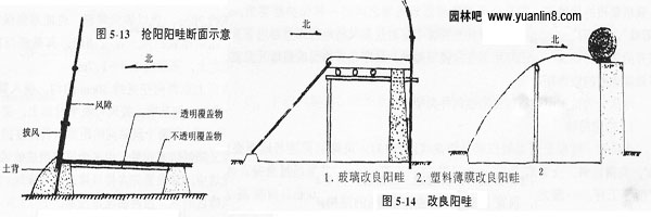 花卉栽培其他类型保护地的作用,类型,设置,建造等(图)