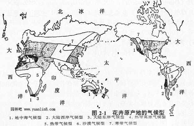 花卉原产地的气候型