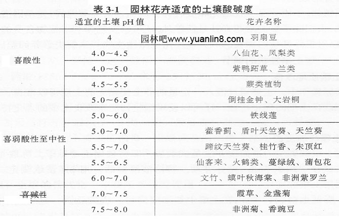 土壤及根际环境对花卉的影响