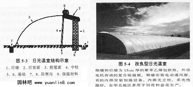 园林花卉栽培之温室的种类及特点（图）
