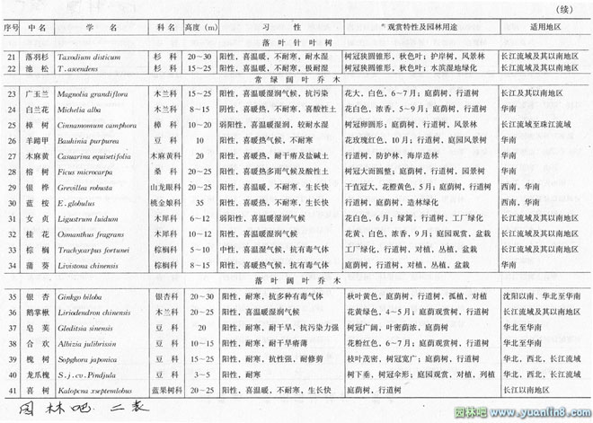 城市道路绿地种植设计中如何选择行道树