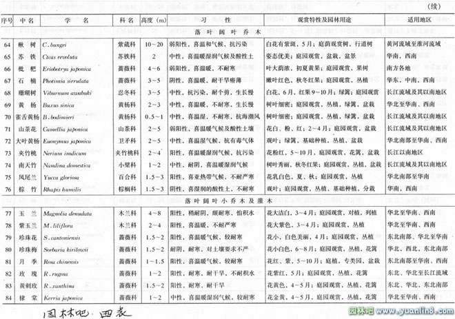 城市道路绿地种植设计中如何选择行道树