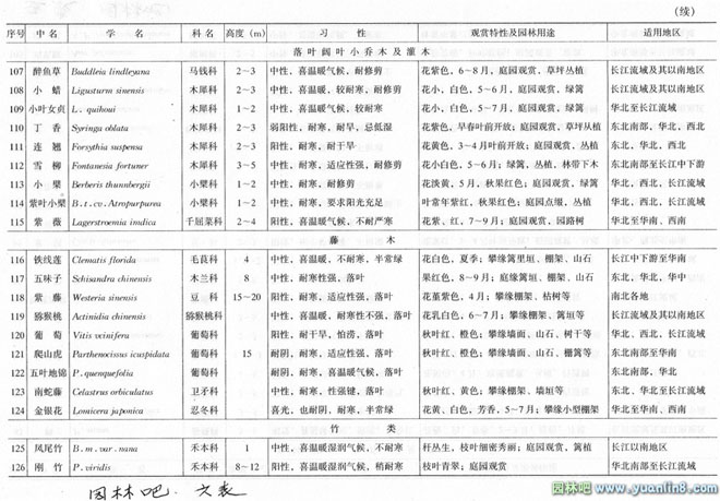 城市道路绿地种植设计中如何选择行道树