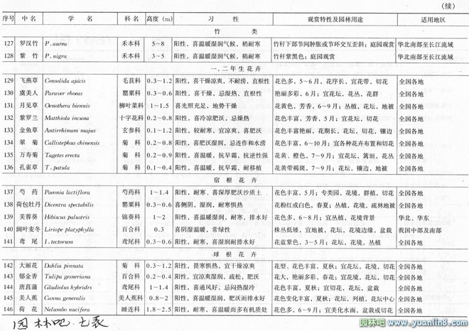 城市道路绿地种植设计中如何选择行道树