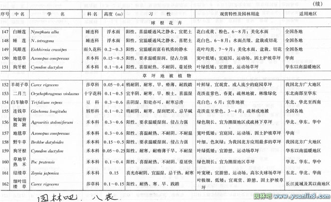 城市道路绿地种植设计中如何选择行道树