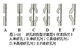 植物细胞的形态与结构