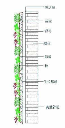 墙面绿化六种类型分析
