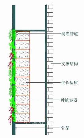 墙面绿化六种类型分析