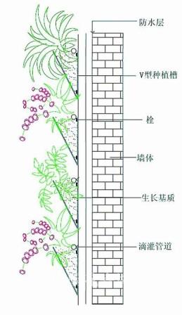 墙面绿化六种类型分析