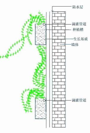 墙面绿化六种类型分析