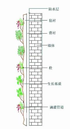 墙面绿化六种类型分析