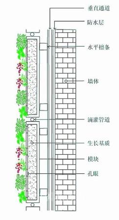 墙面绿化六种类型分析