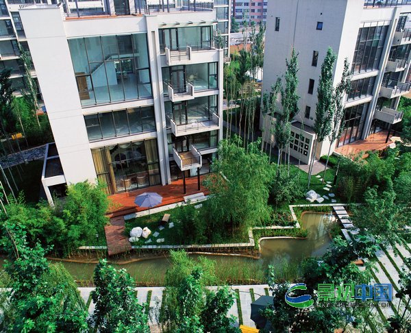 白杨礼赞--塞那维拉居住区环境设计