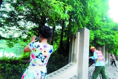 青岛规划建两大公园 打造国内第一樱花园