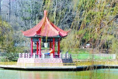 青岛规划建两大公园 打造国内第一樱花园