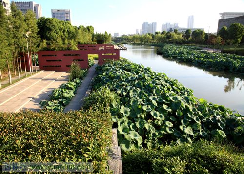 再造城市滨水景观：宁波鄞州中心区河道改造