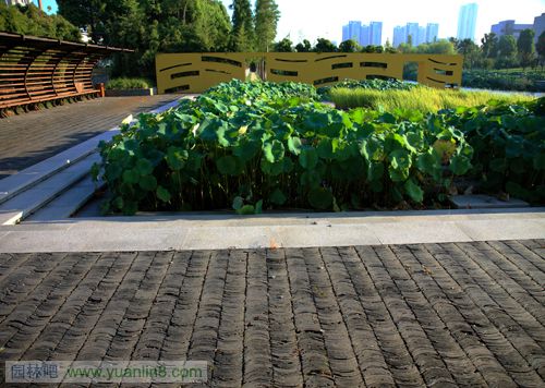 再造城市滨水景观：宁波鄞州中心区河道改造