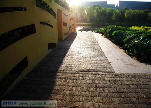 再造城市滨水景观：宁波鄞州中心区河道改造