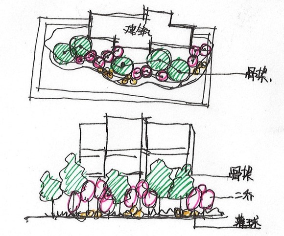 园林植物配置心得总结