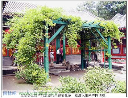 园林花架的选材和搭建要点