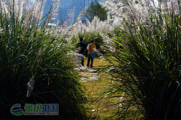 浙江黄岩永宁公园生态设计方案（案例分析）