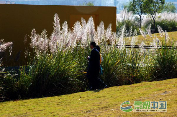 浙江黄岩永宁公园生态设计方案（案例分析）