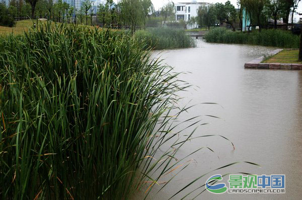 浙江黄岩永宁公园生态设计方案（案例分析）