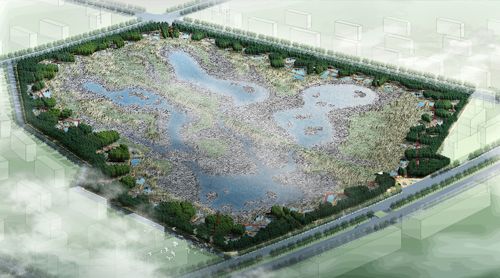 全国首个雨洪公园亮相哈尔滨—群力国家城市湿地公园