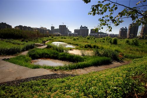全国首个雨洪公园亮相哈尔滨—群力国家城市湿地公园