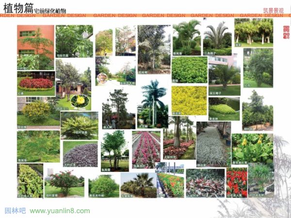 私家别墅庭院设计-手绘高清图,景观园林设计资料集