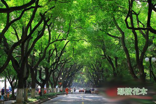 山水城中园 园中城--苏州迎来生态大考