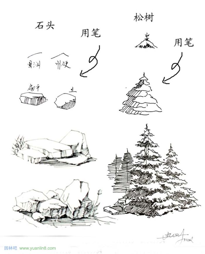 植物景观手绘入门技巧