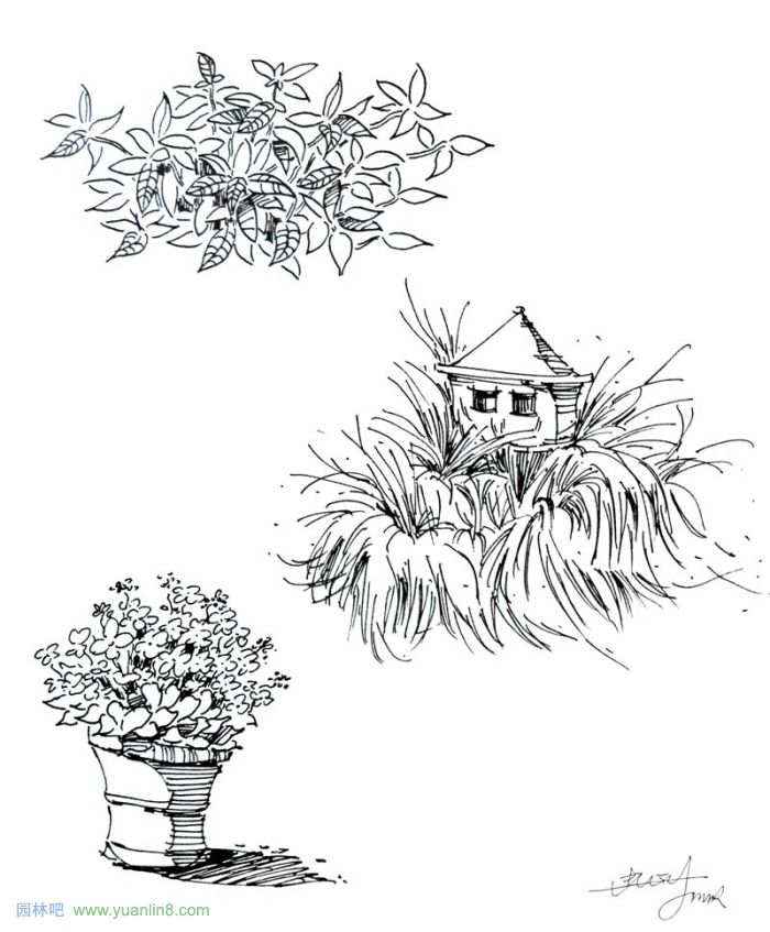植物景观手绘入门技巧