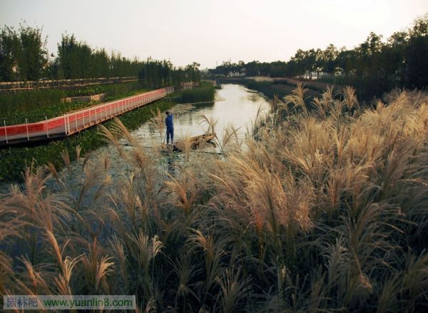 2010ASLA景观专业奖-通用设计杰出奖：上海世博后滩公园