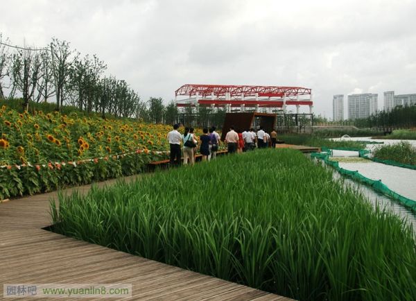 2010ASLA景观专业奖-通用设计杰出奖：上海世博后滩公园