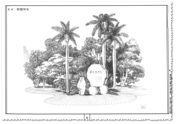 实用园林绘画技法：素描、线描、钢笔画[PDF高清扫描电子书]截图5