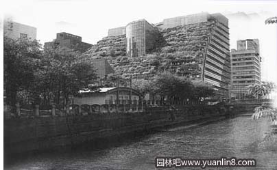 案例说明日本屋顶花园技术