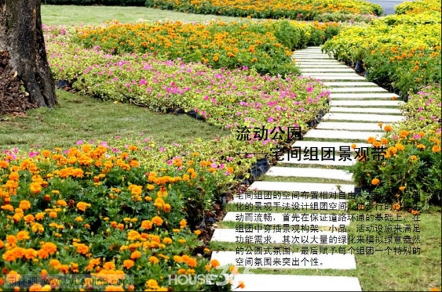 [组图]芜湖城市之光8层电梯房景观规划设计