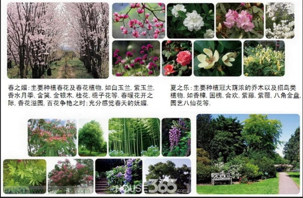 [组图]芜湖城市之光8层电梯房景观规划设计