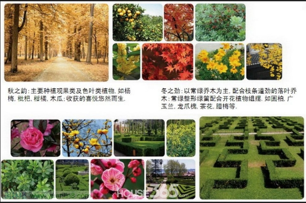 [组图]芜湖城市之光8层电梯房景观规划设计
