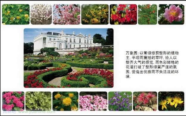 [组图]芜湖城市之光8层电梯房景观规划设计