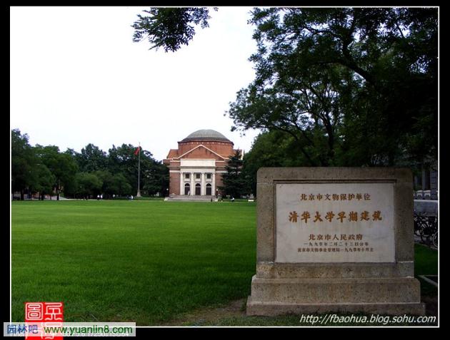 清华大学校园植物配置解析