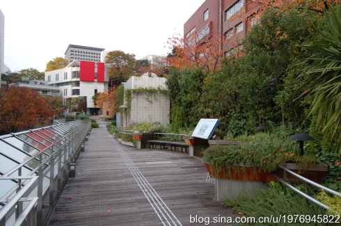 日本东京赤坂见附三井大楼景观